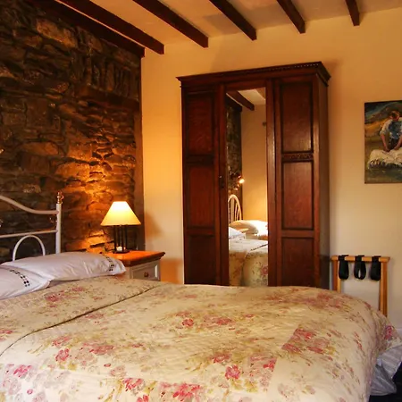 Druid 3* كينمير