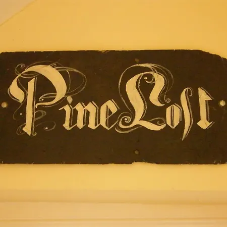 Druid 3* كينمير