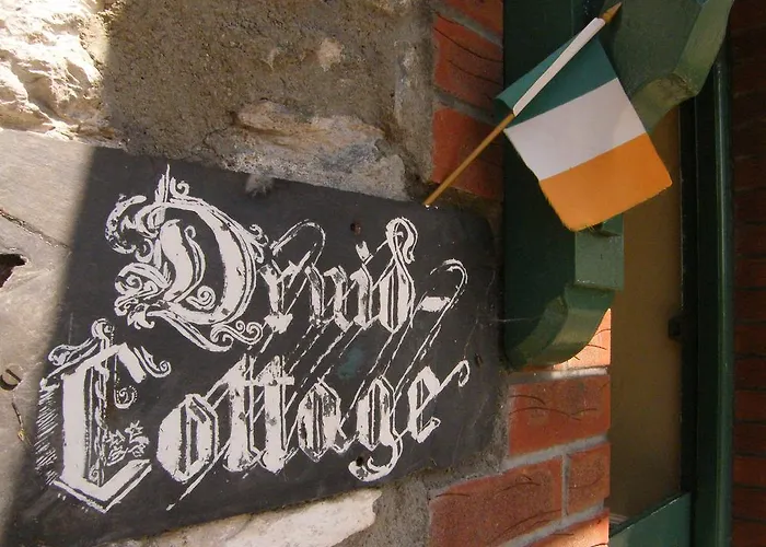 ベッド・アンド・ブレックファスト Druid 3*